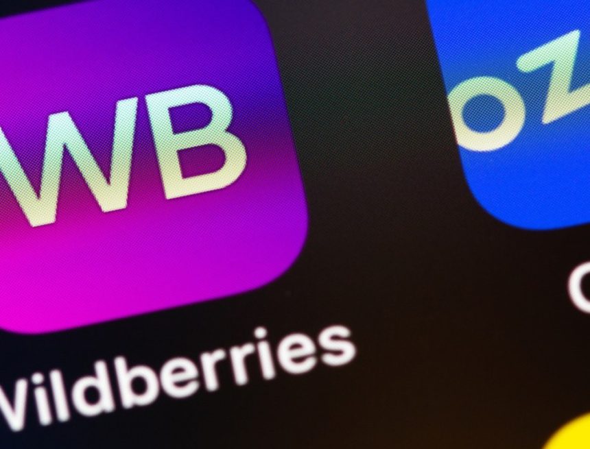 5tvgcdd9p0k Ozon и Wildberries инвестируют 101 млрд тенге в фулфилмент-центры в Казахстане