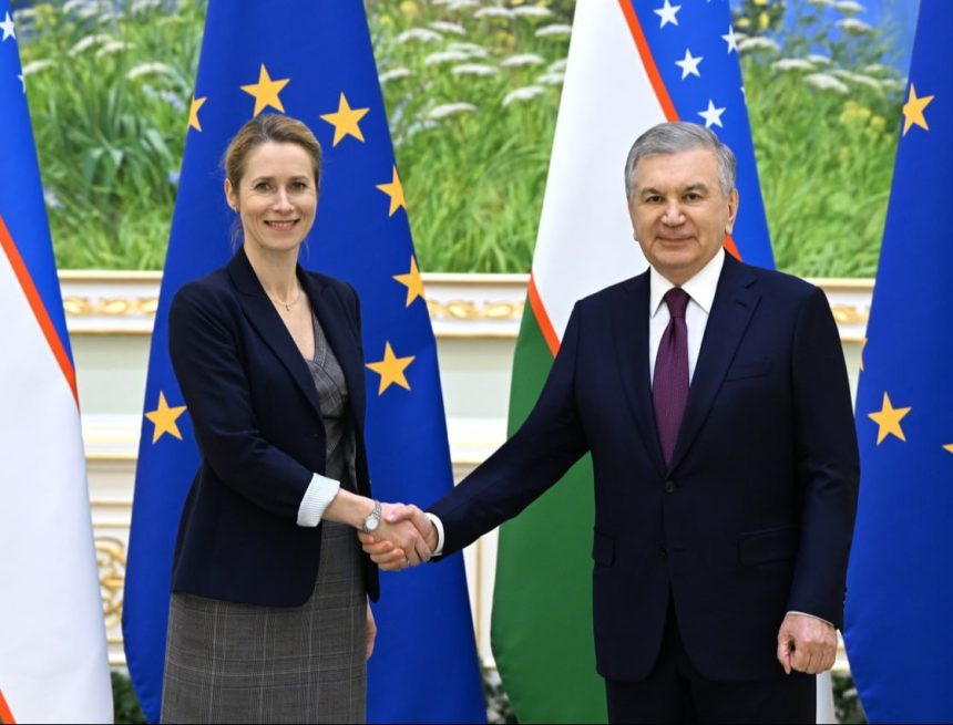 Узбекистан и ЕС обсудили сотрудничество в сфере цифровизации, финтеха и инфраструктуры