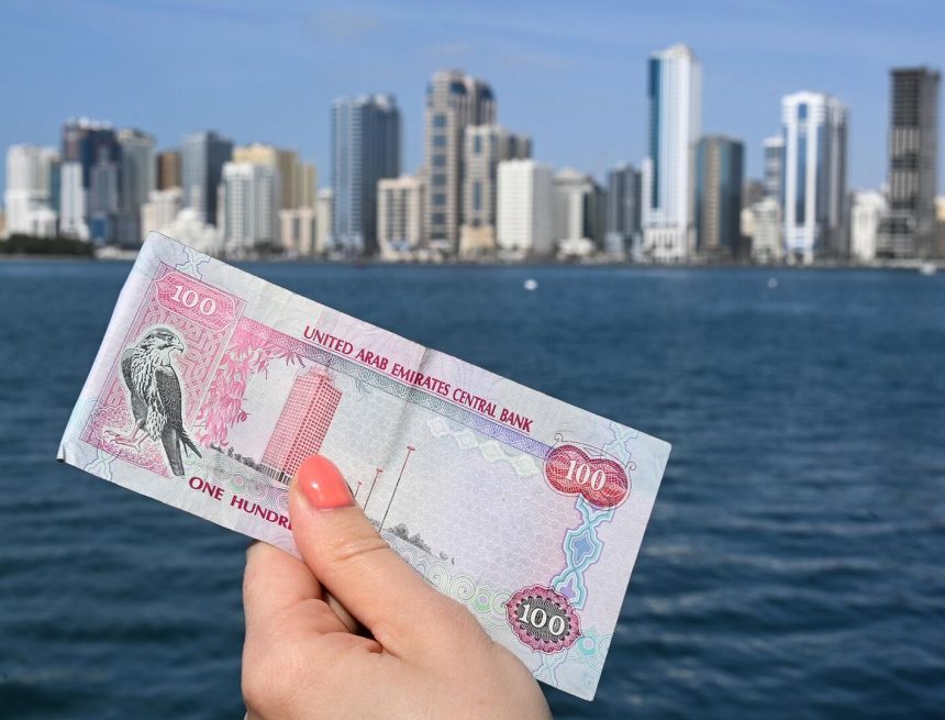 ОАЭ введут цифровой дирхам для массовых расчетов до конца 2025 года