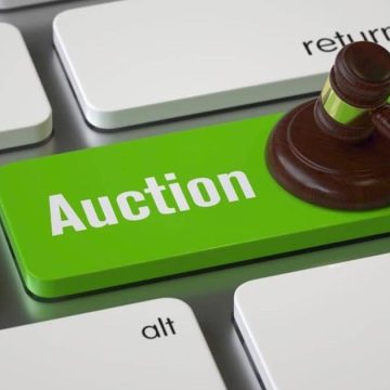 На платформе аукциона доменов . UZ появилась функция автоматической ставки