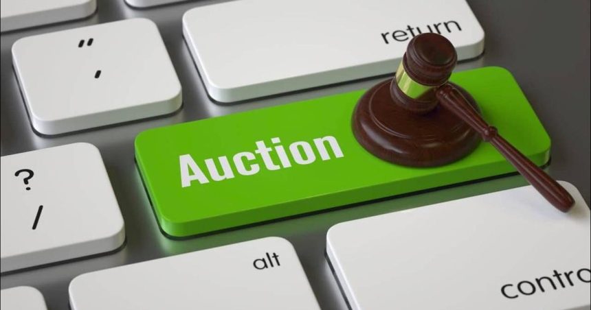На платформе аукциона доменов . UZ появилась функция автоматической ставки