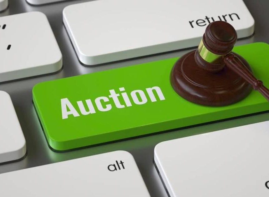 На платформе аукциона доменов . UZ появилась функция автоматической ставки