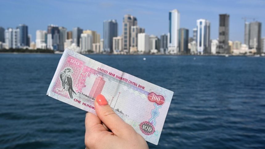 ОАЭ готовятся к постепенному внедрению цифрового дирхама